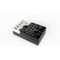 Micro Brain Flybarless System